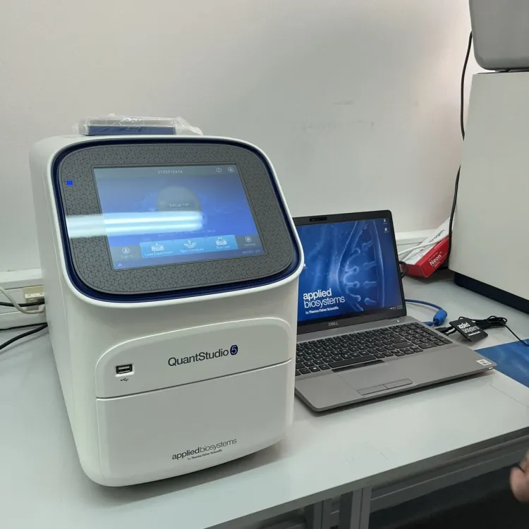 GBE Genetik Araştırmaları Geliştiriyor: RT-PCR Makinesi ve QuantStudio 5 Eğitimi